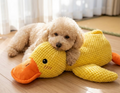 Mofuly™の「癒しのアヒルちゃん™」